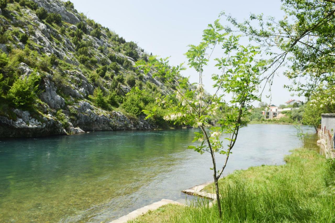 Villa Basic Blagaj Εξωτερικό φωτογραφία